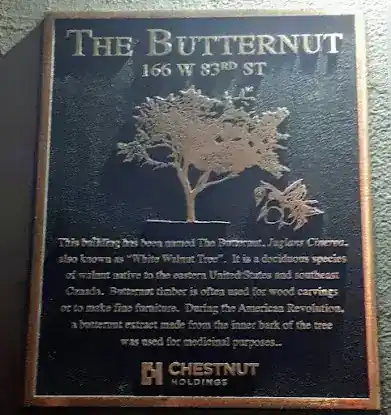 The Butternut