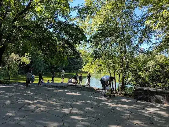 The Central Park Turtle Pond