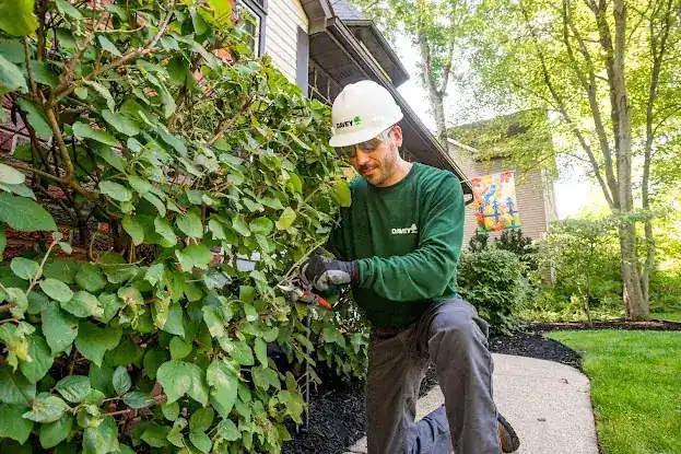 The Davey Tree Expert Company