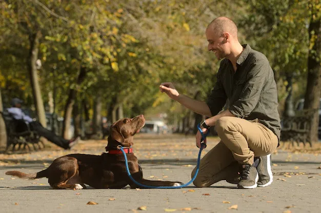The Dog Behaviorist NYC