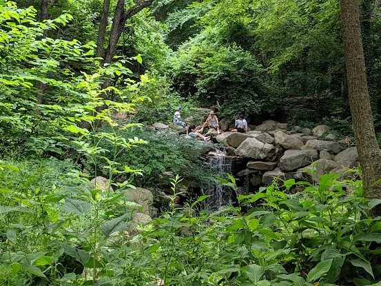 The Donald And Barbara Zucker Natural Exploration Area