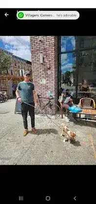 The East Village Dog Walker