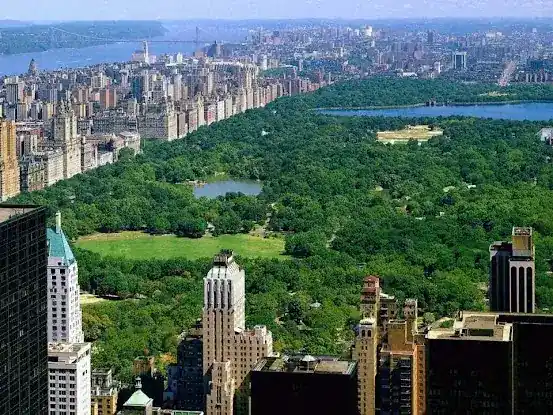 The Etiquette School of New York
