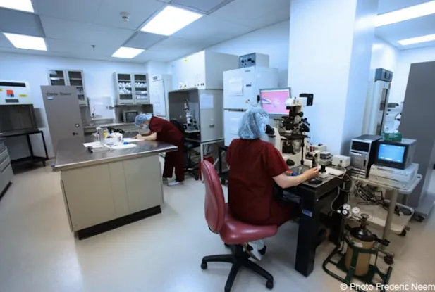 The Fertility Institutes New York