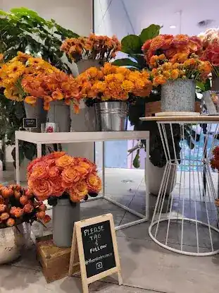 The Mini Rose Co