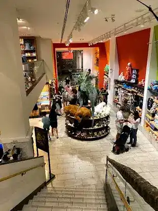 The Museum Shop