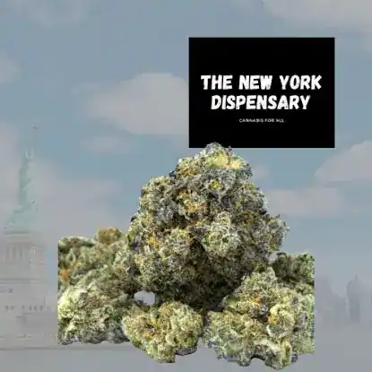 The New York Dispensary