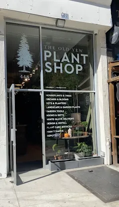 The Old Yew Plant Shop