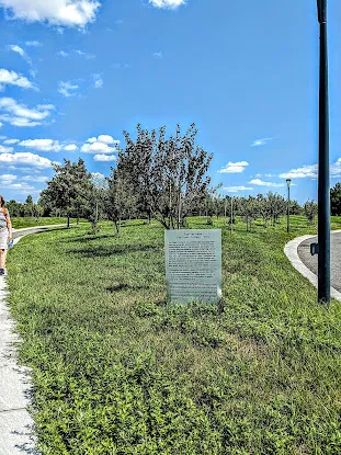 The Open Orchard