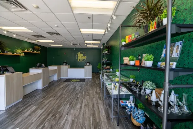 The Plant Premium Cannabis Store