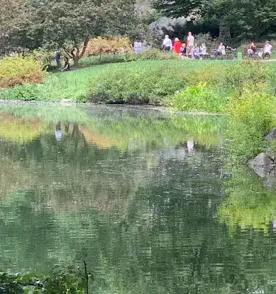 The Pond at Central Park