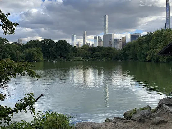 The Pond