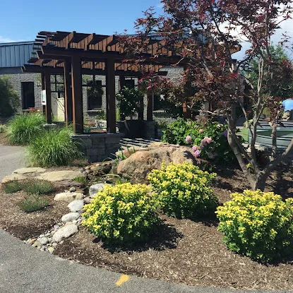 The Pond & Rock Shop