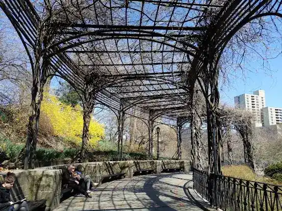 The Ravine