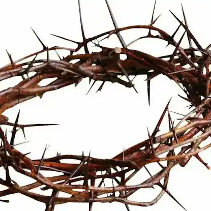 The Redeemed Christian Church of God - Jesus House New York