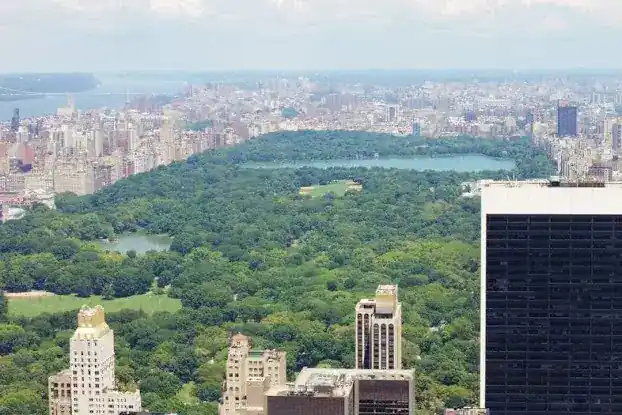 The Rockefeller Center Group - Morgan Stanley