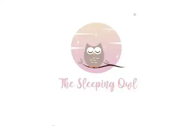 The Sleeping Owl
