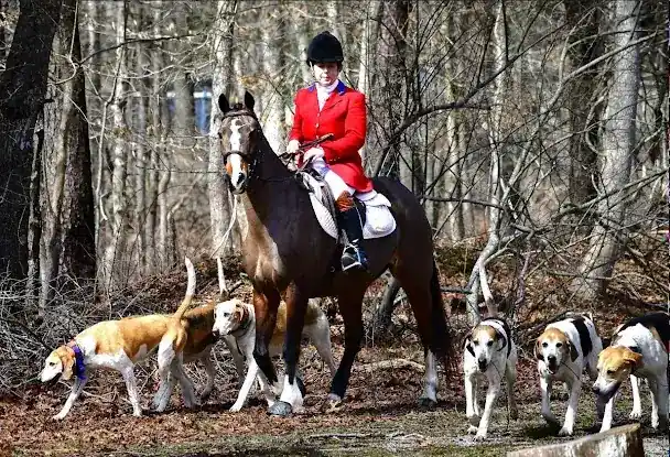 The Smithtown Hunt, Inc.