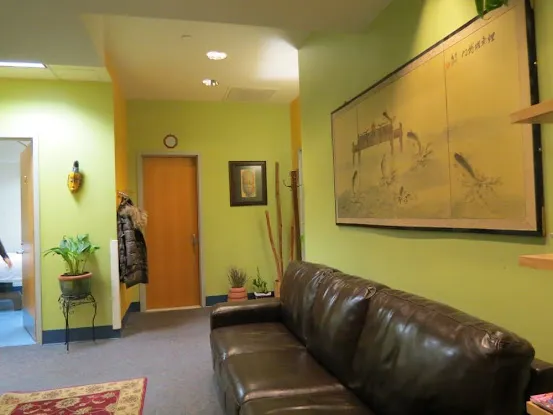 The Sunny Side: Acupuncture and Healing Arts