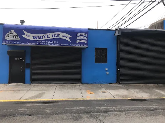 THE WHITE ICEBERG CORP