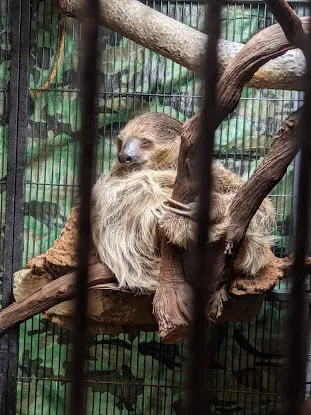 The Wildlife Conservation & Education Center