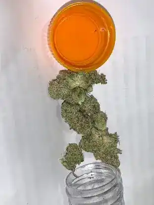 TheBluntRules.com