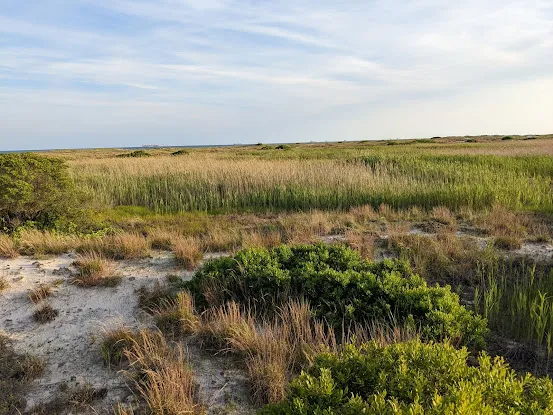 Theodore Roosevelt Sanctuary