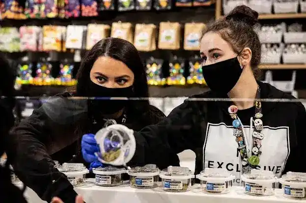 Theory Dispensary Medical And Recreational Delivery