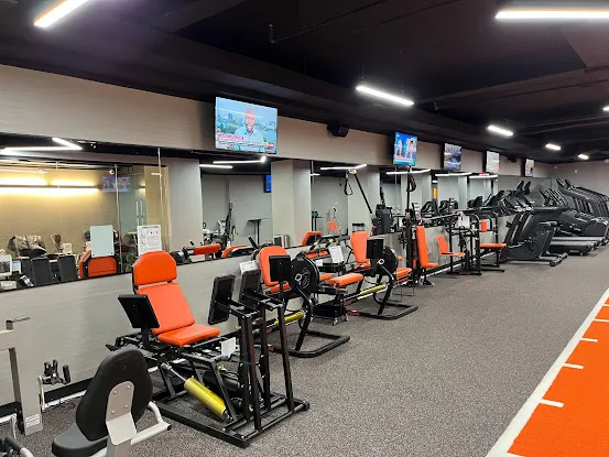 Theradynamics Physical & Occupational Therapy