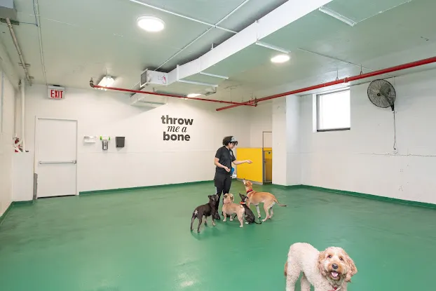 Throw Me A Bone Inc. / Dog Daycare, Grooming and Boarding