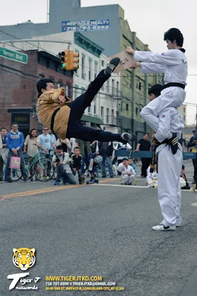 Tiger J Taekwondo