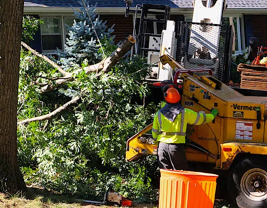 Timberline Tree & Landscape Inc.