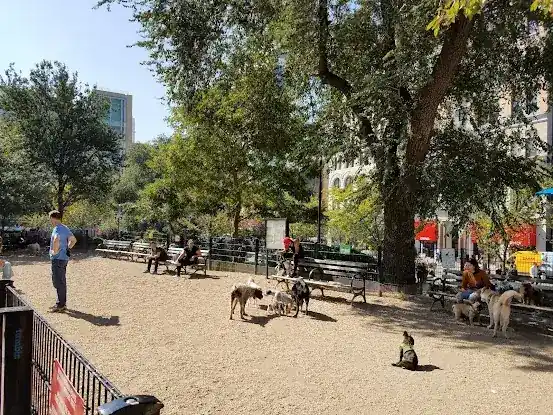 Tisch Center NYU