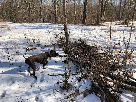 TMT Hunting Preserve Inc