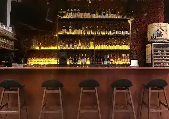 Tokyo Karaoke Lounge and Sake Club