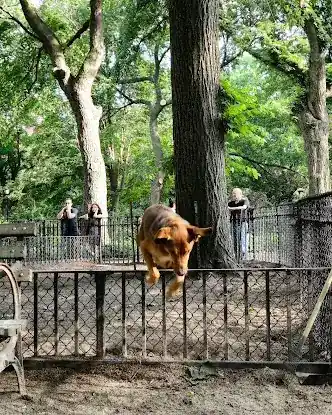 Tompkins Square Dog Run
