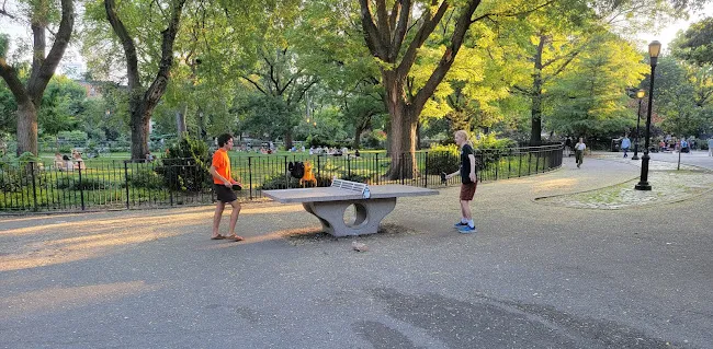 Tompkins Square Ping Pong Table