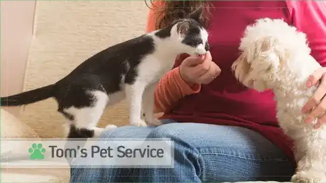 Tom's Pet Service