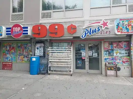 Top Choice 99¢ Plus💫