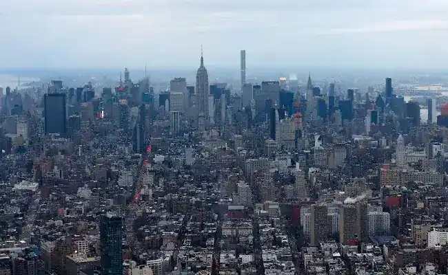 Top Dog Tours NYC