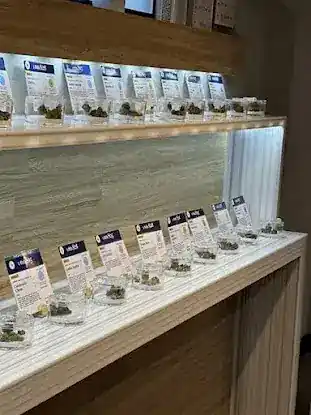 Torchescare Dispensary Medical And Recreational Delivery