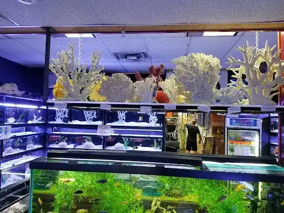 Total Aquariums