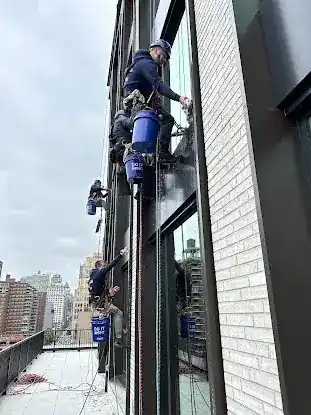 Total Window Service