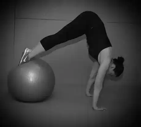 Trainer Heidi