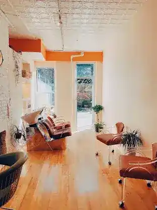 Treehouse Social Club