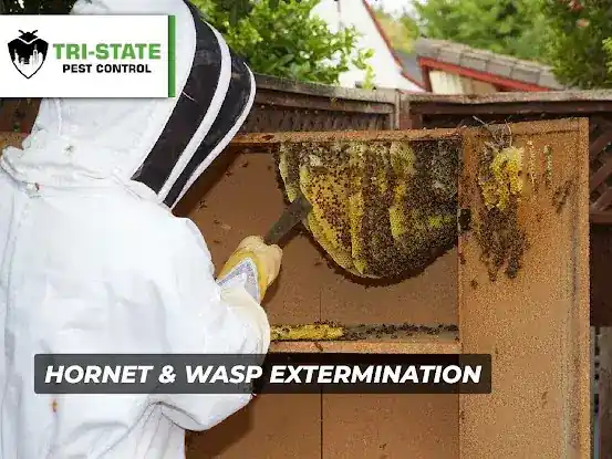 Tri-State Pest Control