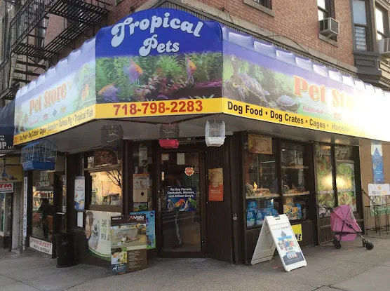 Tropical Pets