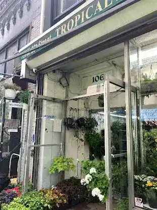 Tropical Plants And Orchids Inc
