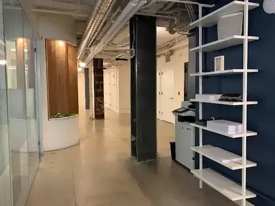True Film Production