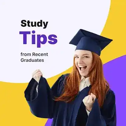 Tutorpeers